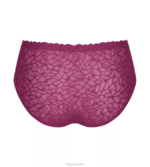 Knickers | N024533 Wine ZERO FEEL LACE Highwaist knickers Women sloggi - Image 2