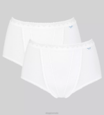 Knickers | N02485 White CONTROL Maxi knickers Women sloggi