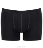 Underwear N024725 Black 24/7 shorts Men sloggi - Image 2